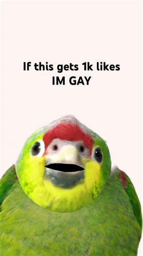 If this gets 1k likes IM GAY #memes #robloxmemes #funny #newmemes #memeteam