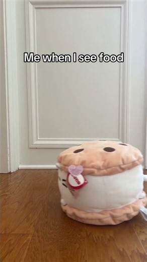 lol #pusheen #plush #plushies #kawaii #cute #cat #kitty #squish #squishy #squishmallows #funny