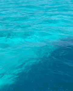 58 reactions · 8 comments | Nothing beats the stunning views and incredible shades of blue when arriving at Blue Lagoon Island. Our guests often squeal as we pull into the island! ✨ | Bahamas Blue Lagoon | Facebook