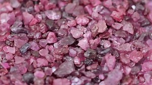 Beautiful uncut ruby gemstone,sapphire background