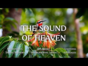 The Sound of Heaven : Instrumental Worship and Scriptures with Birds 🕊 Christian Instrumental