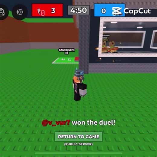 Unplanned Adventures in Roblox Public Server