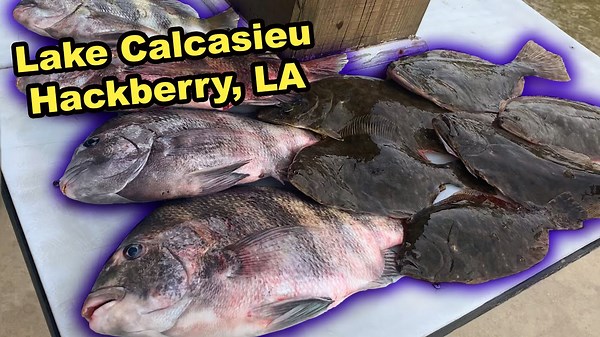 Flounder & Sheepshead Catch Clean Cook! (Fishing Lake Calcasieu in Hackberry Louisiana)
