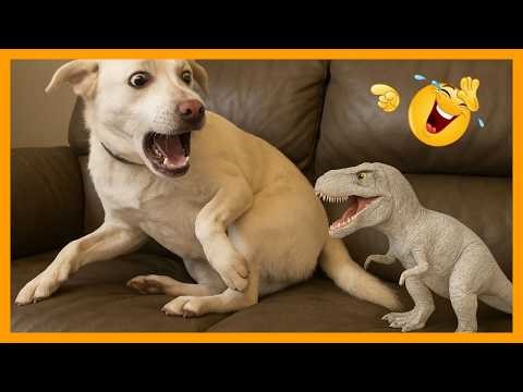 Best Dogs Failing Compilation🤣🐶 Try Not to Laugh