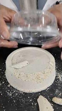 This fossil excavation kit that lets you find tons of real fossils is just too awesome lol