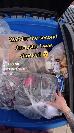 Incredible Dumpster Dive Finds You Won't Believe