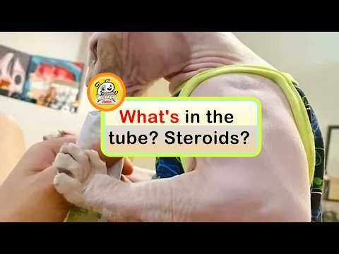 Photos That Show the True Size of Things and Leave People Shocked