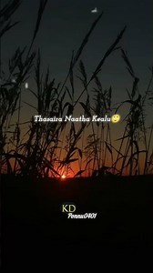 🤍Neethaanaa🫂🌏🥹#fvd #lovesong #tamilsong #missyou #personalgrowth #10000million #plese_subscribe