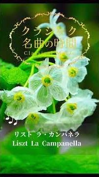 1分クラシック♪ ラ・カンパネラ #クラシック #名曲 #朝