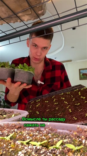 Пора решаться на рассаду 🌱