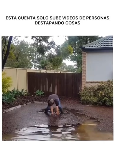 Renacuajo o Alien: Descubre lo que hay en las Cloacas