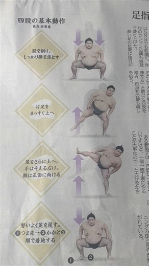 Sumo wrestling - Basic stomp movements by Shohoryu #Sumo #Stomp #Shohoryu
