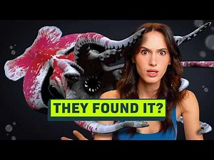 The New Hunt for the Colossal Squid