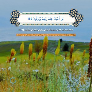 #Islamic #Islam #AWCC #AfghanWireless #Data #Voice #Services #No1 #Afghanistan #Afghan #Network | Afghan Wireless