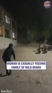 4.8M views · 202K reactions | The way she greets those bears and they wave at her in response is just 勞 | HomeChic | Facebook