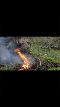 Solo Bushcraft ASMR 🌿 | Spoon Carving & Nature Sounds | No Talking