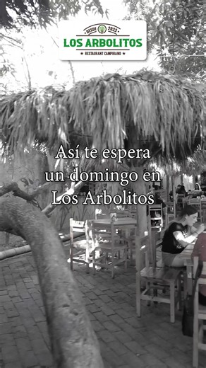 Así te espera este domingo en #Losarbolitos🤗 Música, sabor y calidad✅ 📍Restaurante Campirano Los Arbolitos — donde la tradición, el sabor y la familia se encuentran. ❤️ Estamos ubicados en: 📍Calle Antonio Toledo Corro #14 Col. Huertos Familiares.Mazatlán, Sinaloa. | Los Arbolitos Restaurant Campirano