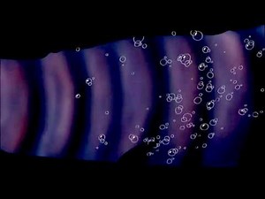 The Little Mermaid Ursula Transformation (Indonesian) (Slow-Mo)