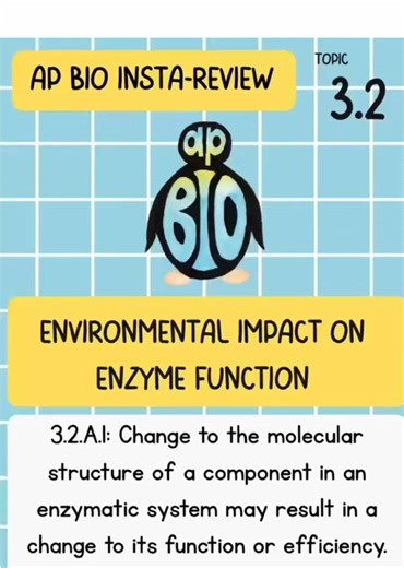Daily AP Bio Review on Instagram Stories