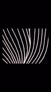 "Begone Dull Care” (1949) es un corto animado en el que Norman McLaren y Evelyn Lambart experimentan pintando y arañando directamente en la película fotográfica. Animación sincronizada con la improvisación de Oscar Peterson por @onno_quist #UniversoPG ⬜ “Begone Dull Care” (1949) is an animated short in which Norman McLaren and Evelyn Lambart experiment painting and scratching onto the film stock. Animation synchronized to an improvised piece by Oscar Peterson by @onno_quist #UniversoPG | PURIFIC