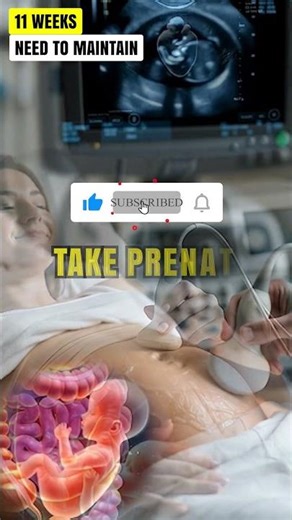 11 Weeks Pregnant – Your Baby Is Growing Fast