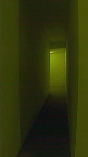 Backrooms Found Footage 170