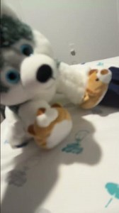 Texting random numbers