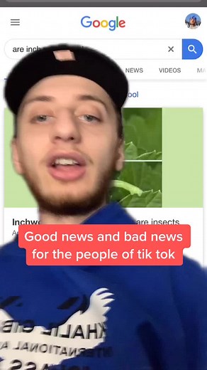 Understanding Inchworms: Harmful or Harmless?