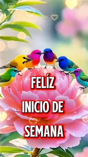Feliz Lunes para Ti 🙏💖 #buenosdias