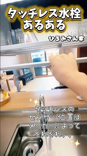 Kitchen Renovation Case Study: Cleanup Handmove triggers Takagi touchless faucet