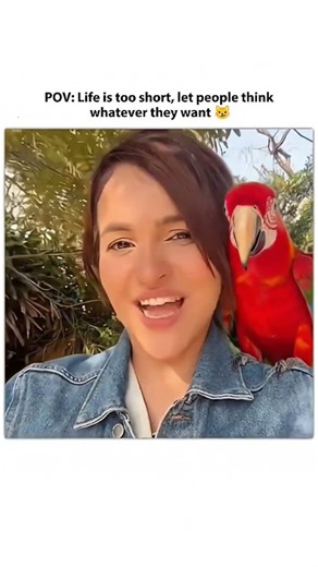 credid goes to prena di ✨💫💫🥰