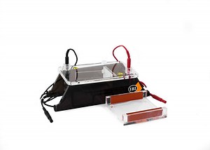 Mini Gel-O Horizontal Electrophoresis System
