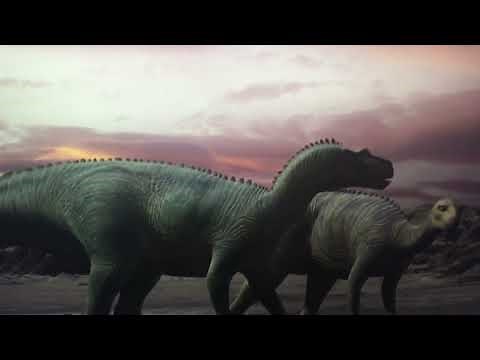 Animals University part 6 1st semester showdown