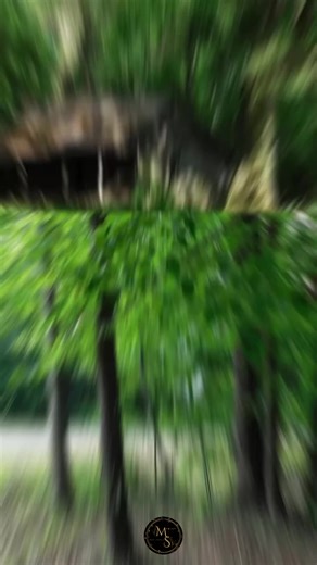 Affordable Land for Sale in Fulton, MS