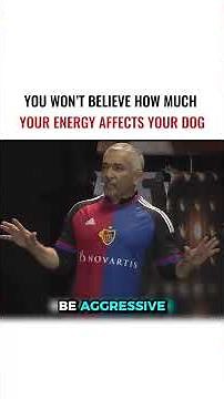 You won’t Believe How Much Your Energy Affects Your Dog