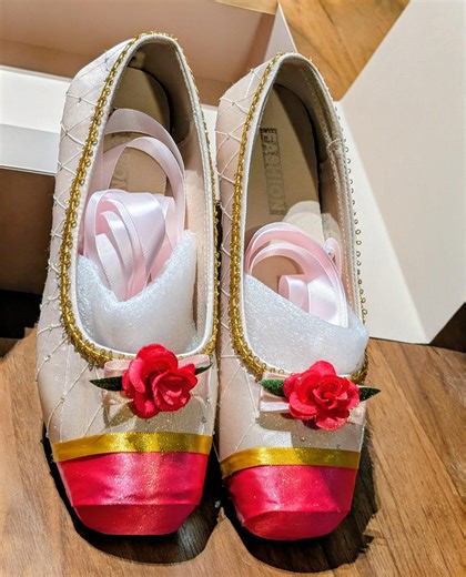 Princess Genevieve Ballet Slippers - Etsy