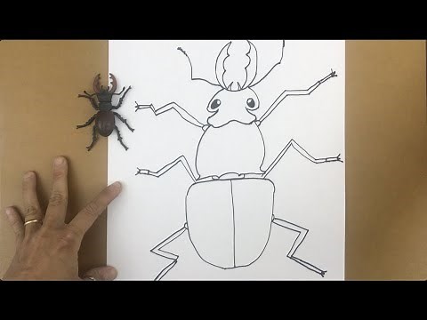 Life Cycle | Beetle | Dung Beetle | Kids | Science | Read Aloud | Story