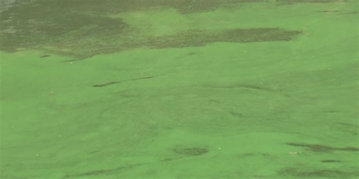 Public urged to avoid contact with water at Mill Creek Lake in Amherst County