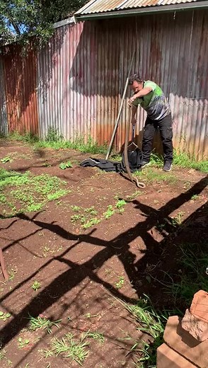 Big Eastern Brown Snake #aussiesnakecatcher #australiansnakecatchers #venomous #easternbrownsnake #reptile #dangerous #snake #donttrythisathome