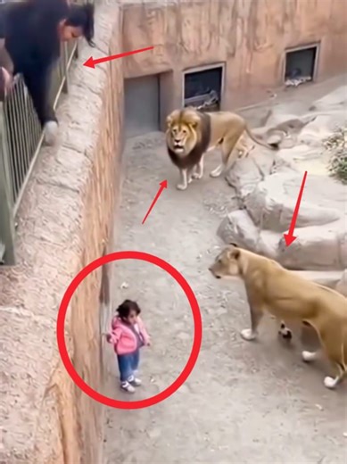 "Unbelievable Shocking Moments! 😱 Caught on Surveillance Cameras" | Factora Stories