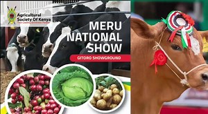 11 reactions | Meru National Show live | Weru TV | Facebook