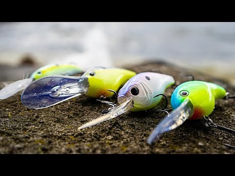 Deep Diving Crankbaits For Early Summer Bass