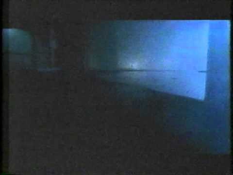 Buddy Lee: Man of Action - movie trailer - 1998