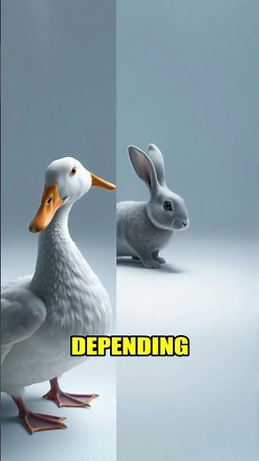 Do you see a Duck or a Rabbit?