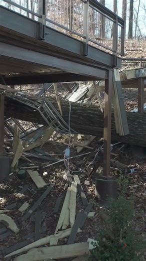 Fallen tree causes Zoo Knoxville's Smoky Night Lights to close until further notice