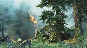 Structures, lives saved in Calif. Nevada border fire