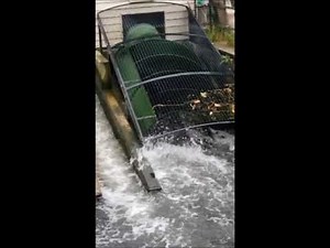 Morden Hall Park - The Archimedes Screw