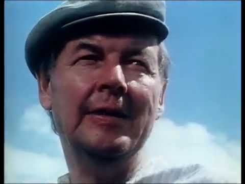 1975 Simpauttaja