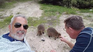 Peter Walsh on Reels