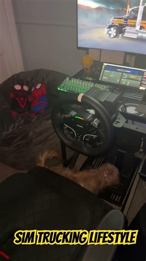 It’s hard being a trucker 😎😂🚛 #shorts #ats